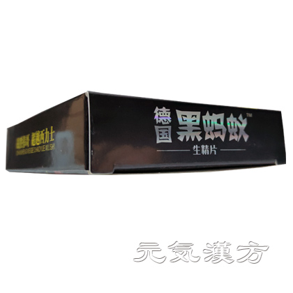 ドイツ黒蟻神_写真_4